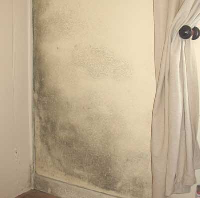 Mould - how to prevent Condensation and Kill Black Mold